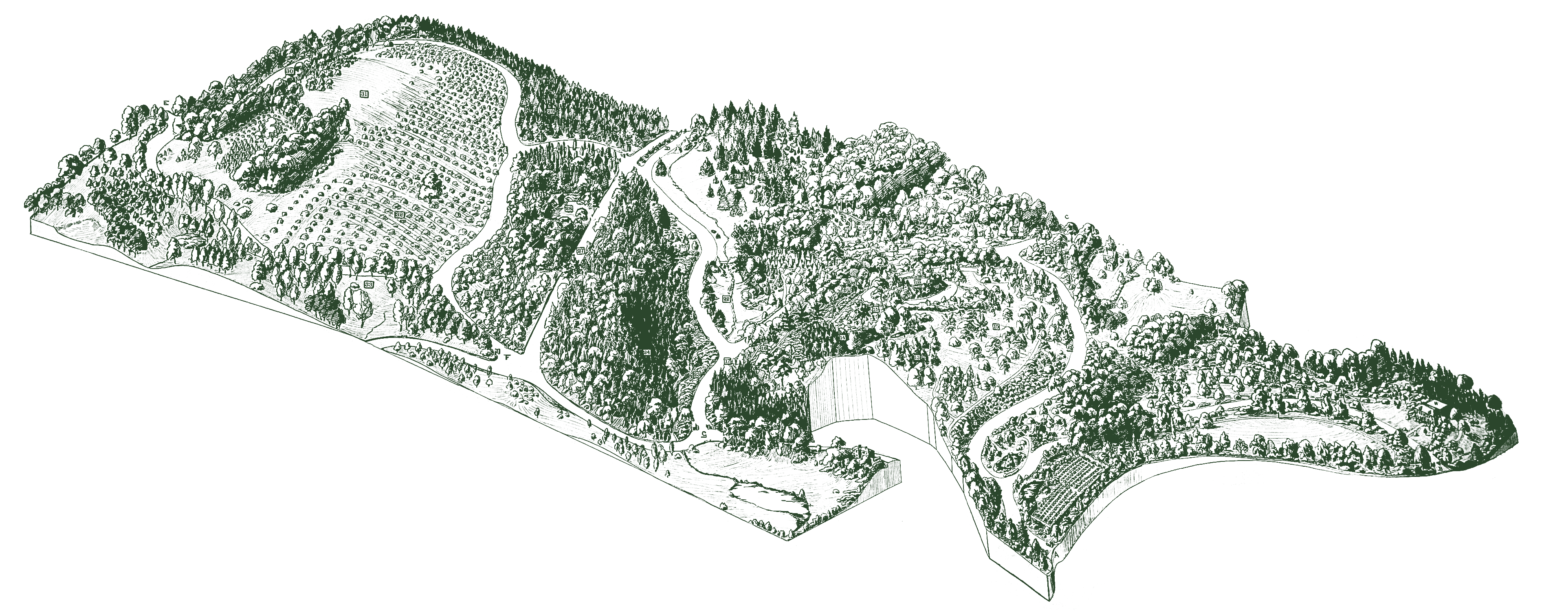 Historical map of the Emerald Necklace. Pictorial map of the Emerald  Necklace parks with notes about features, sites, history, etc. Shows trail,  rest rooms, and transit. Oriented with north to the upper