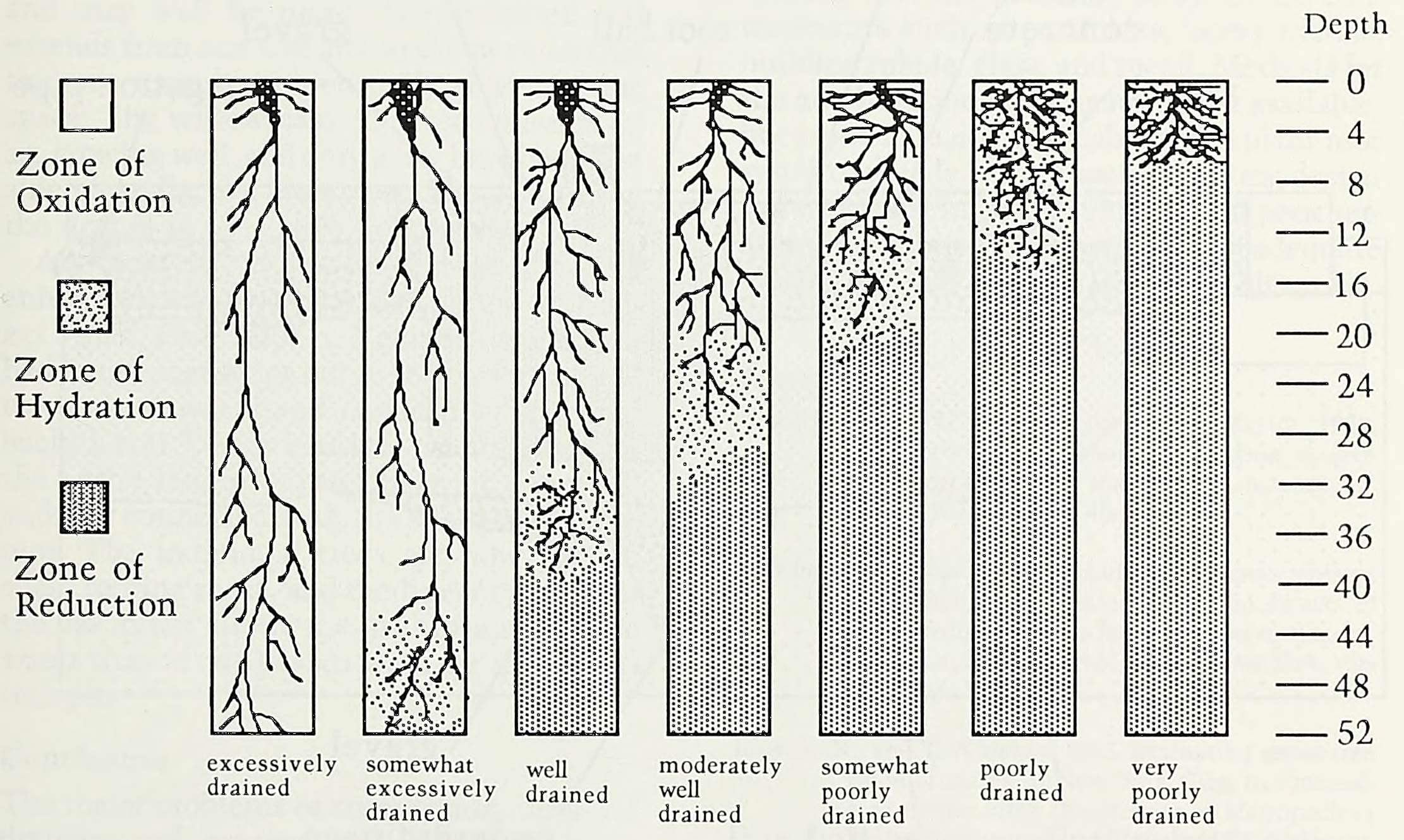 A chart depicting soil drainage classes as used by the USDA Soil Conservation Service.