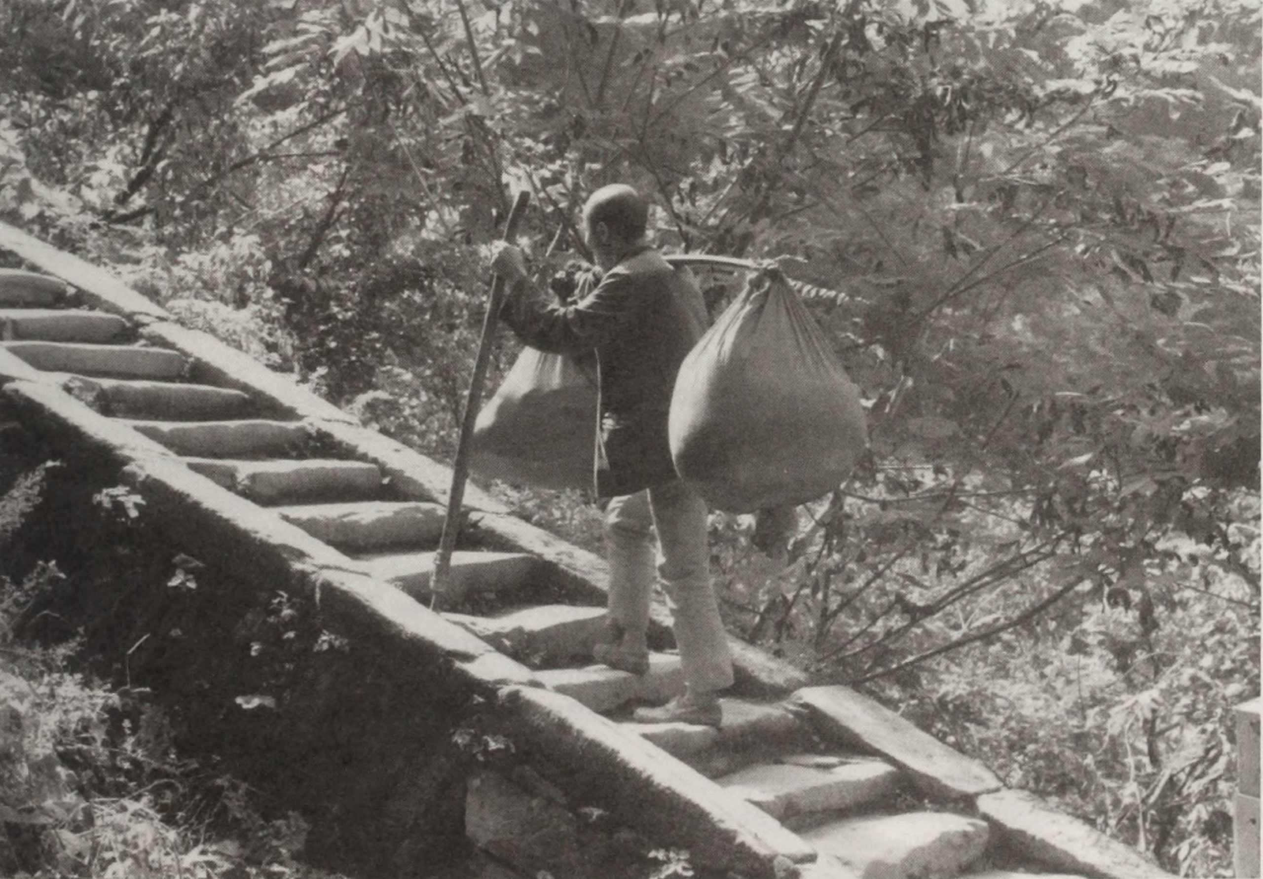 Black-and-white photograph of man carrying packages of steep set of stairs