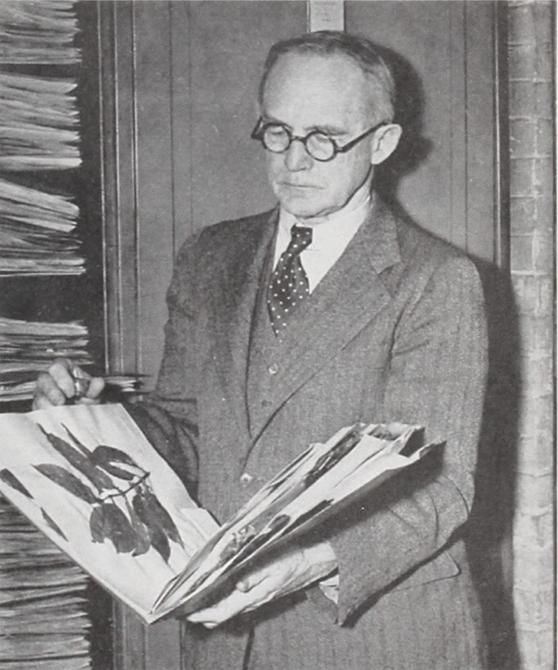 Photograph of botanist examining herbarium specimens