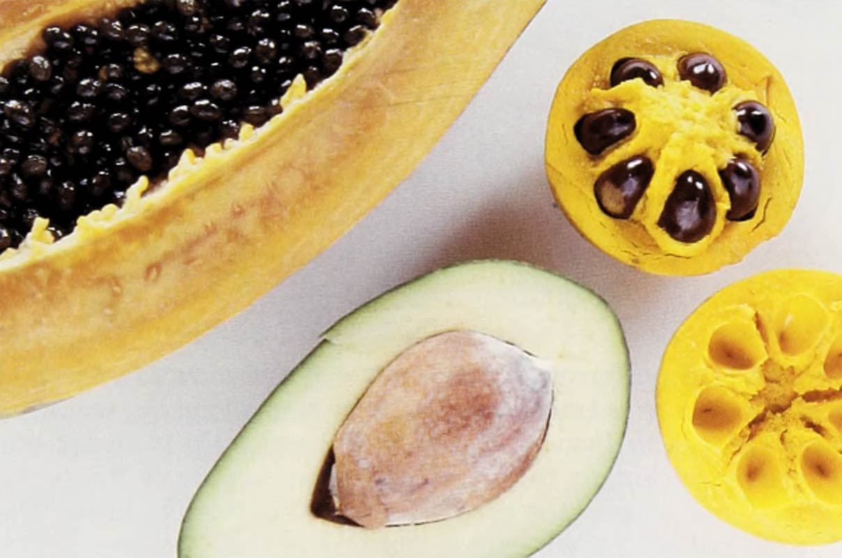 A color photo showing cross-sections of a papaya, an avocado, and a canistel.