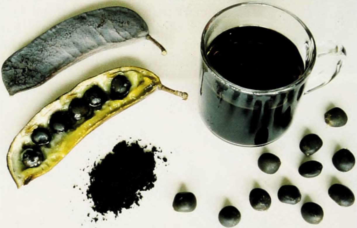 A color photo showing two seed pods of the kentucky coffee tree, one split open, along with several seeds, a small mound of ground-up seed, and a cup of imitation coffee brewed using the seeds.