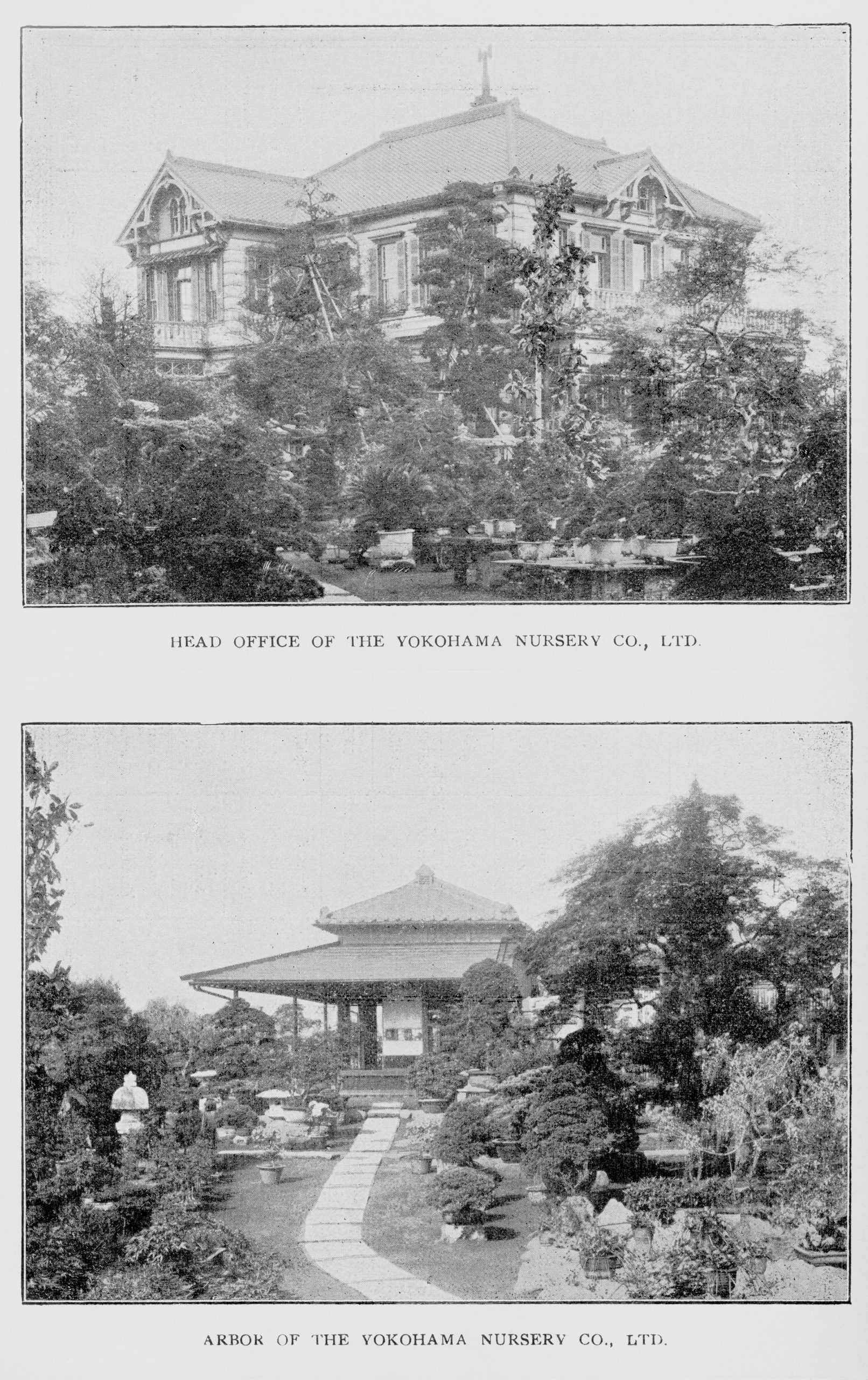 Two black-and-white photographs of nursery office set within manicured garden