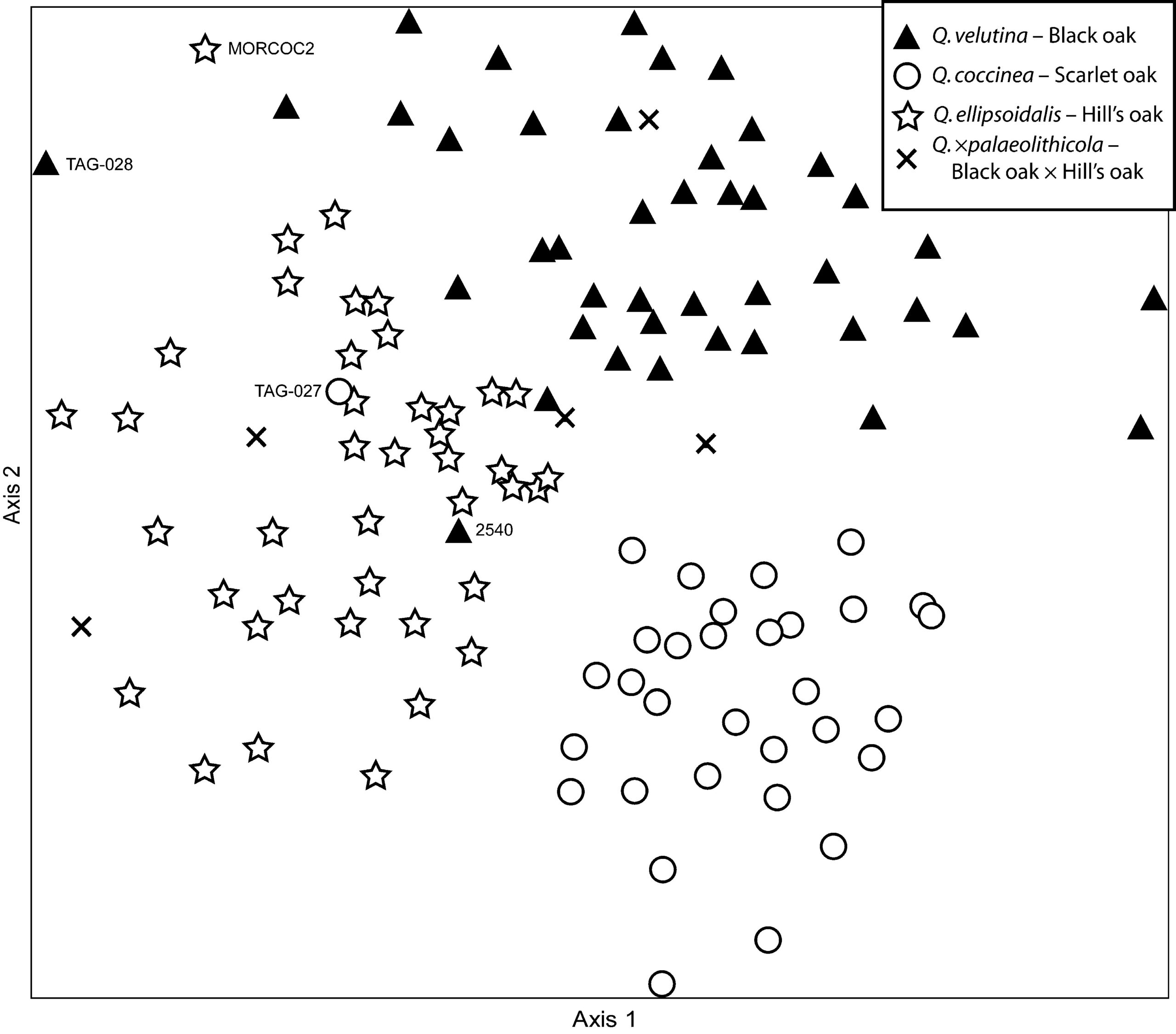 A two-dimensional ordination of 120 individuals representing various species of oak.