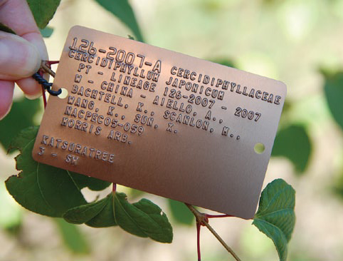 Photo of accession tag showing collecting information