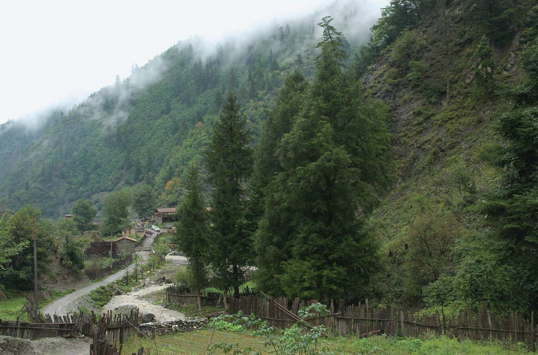 Photo of forested mountain landscape with low-hanging clouds