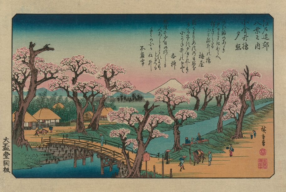 Color print showing pink-flowered cherries blooming along river with white mountain in background