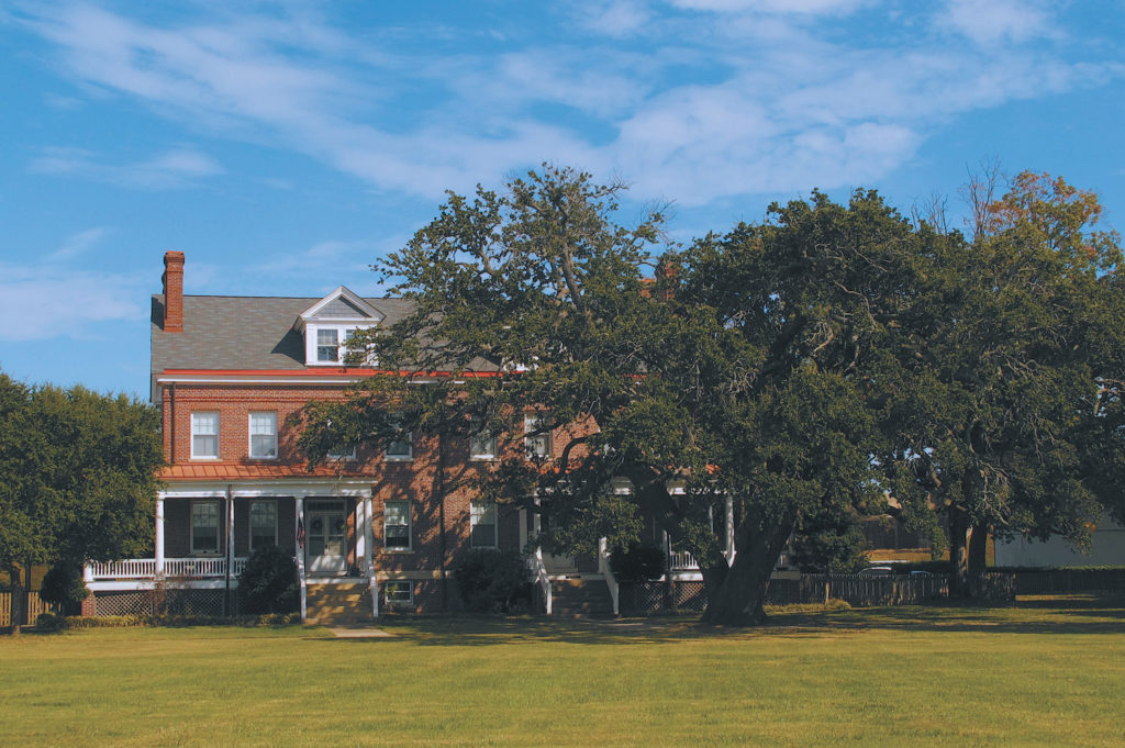 The Quest for the Hardy Southern Live Oak - Arnold Arboretum