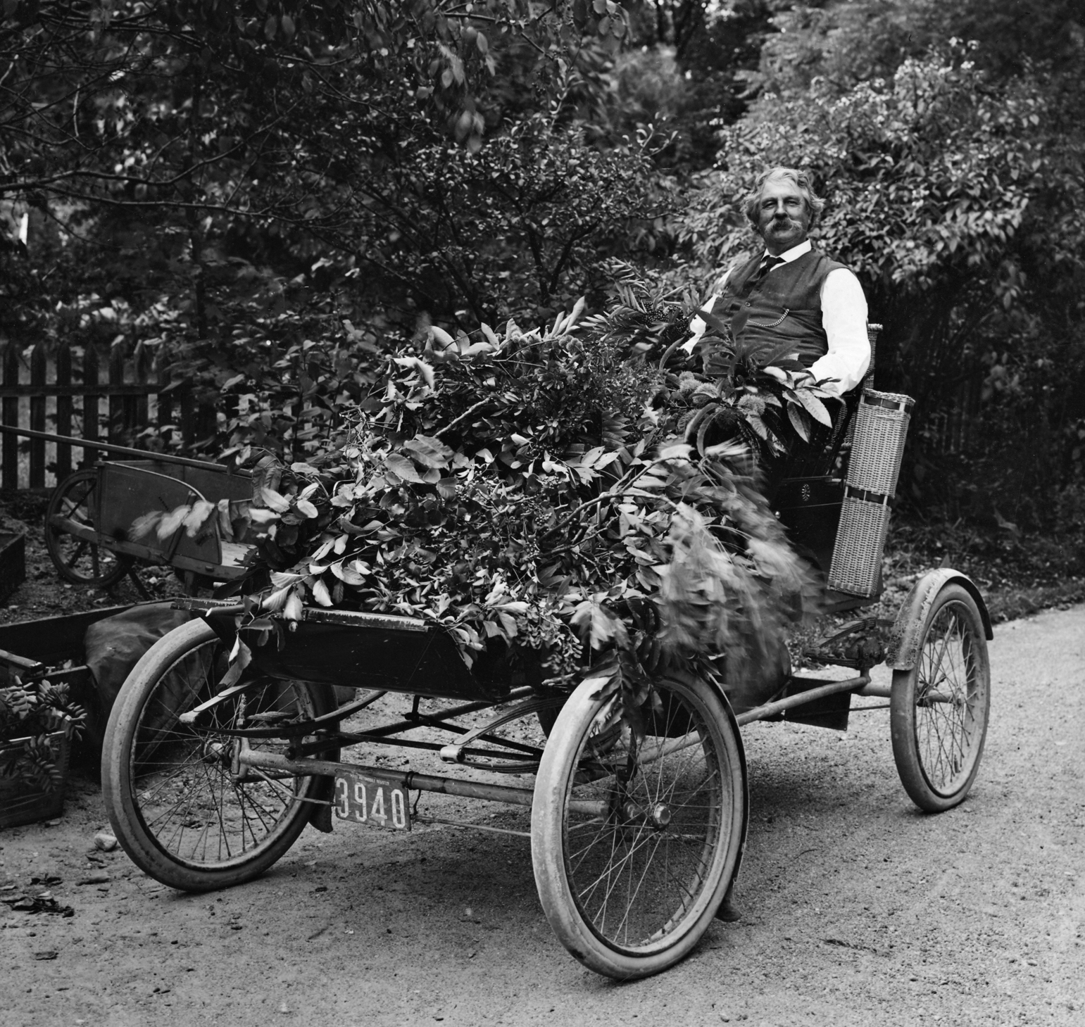 Photograph of horticulturist carrying branches on small open-aired vehicle