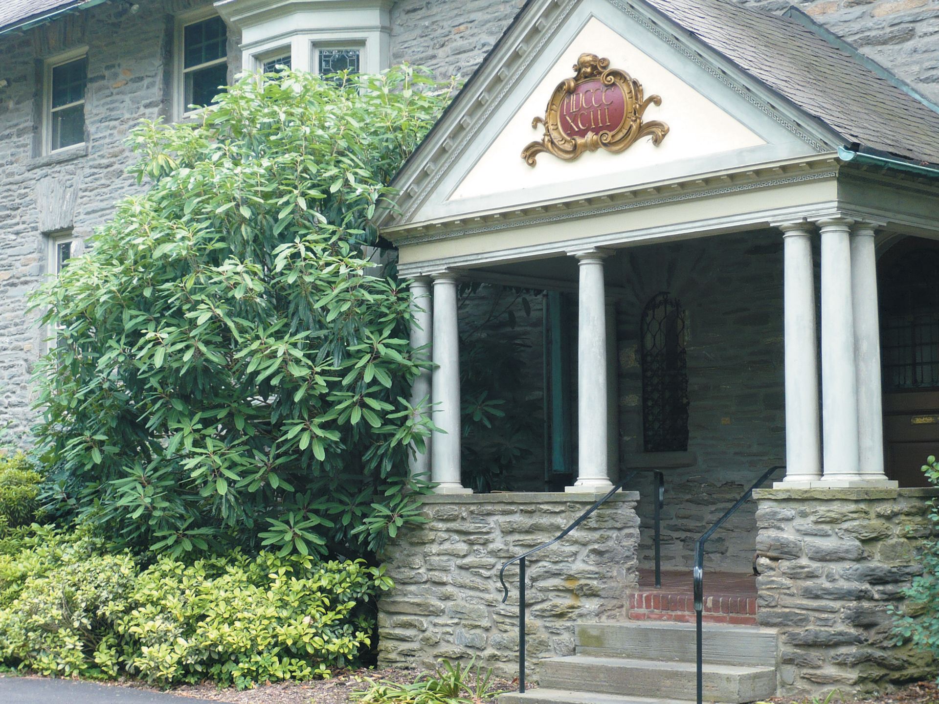 Photo of Daphniphyllum shrub growing near entrance to building