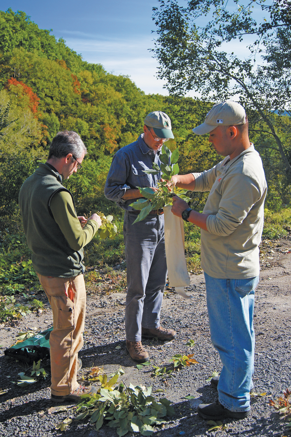 Photo of three plant collectors in the field