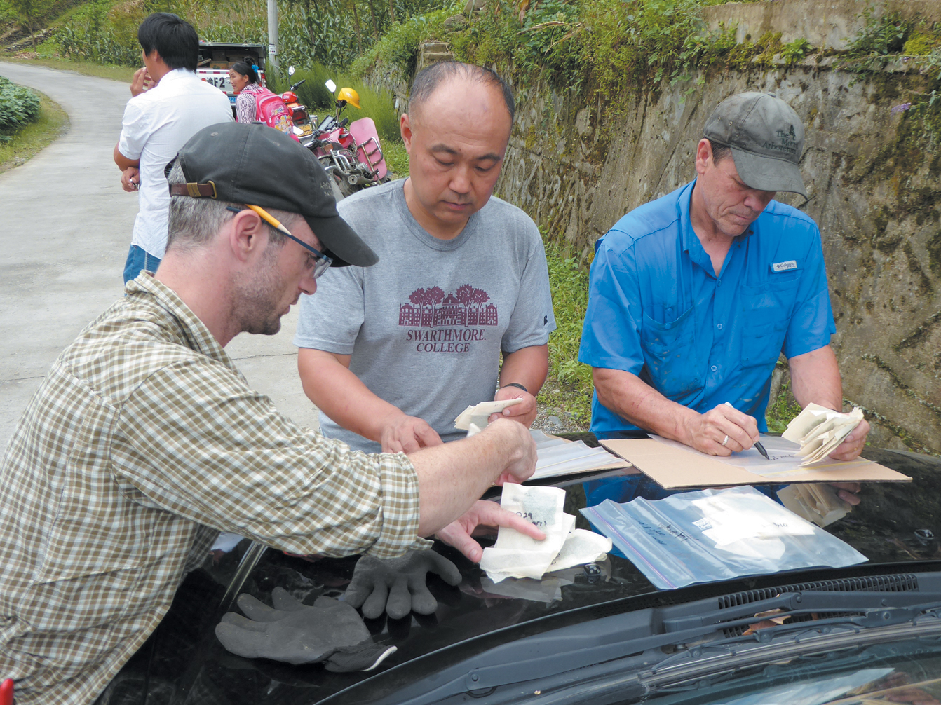 Photo of collectors preparing seed on hood of vehicle