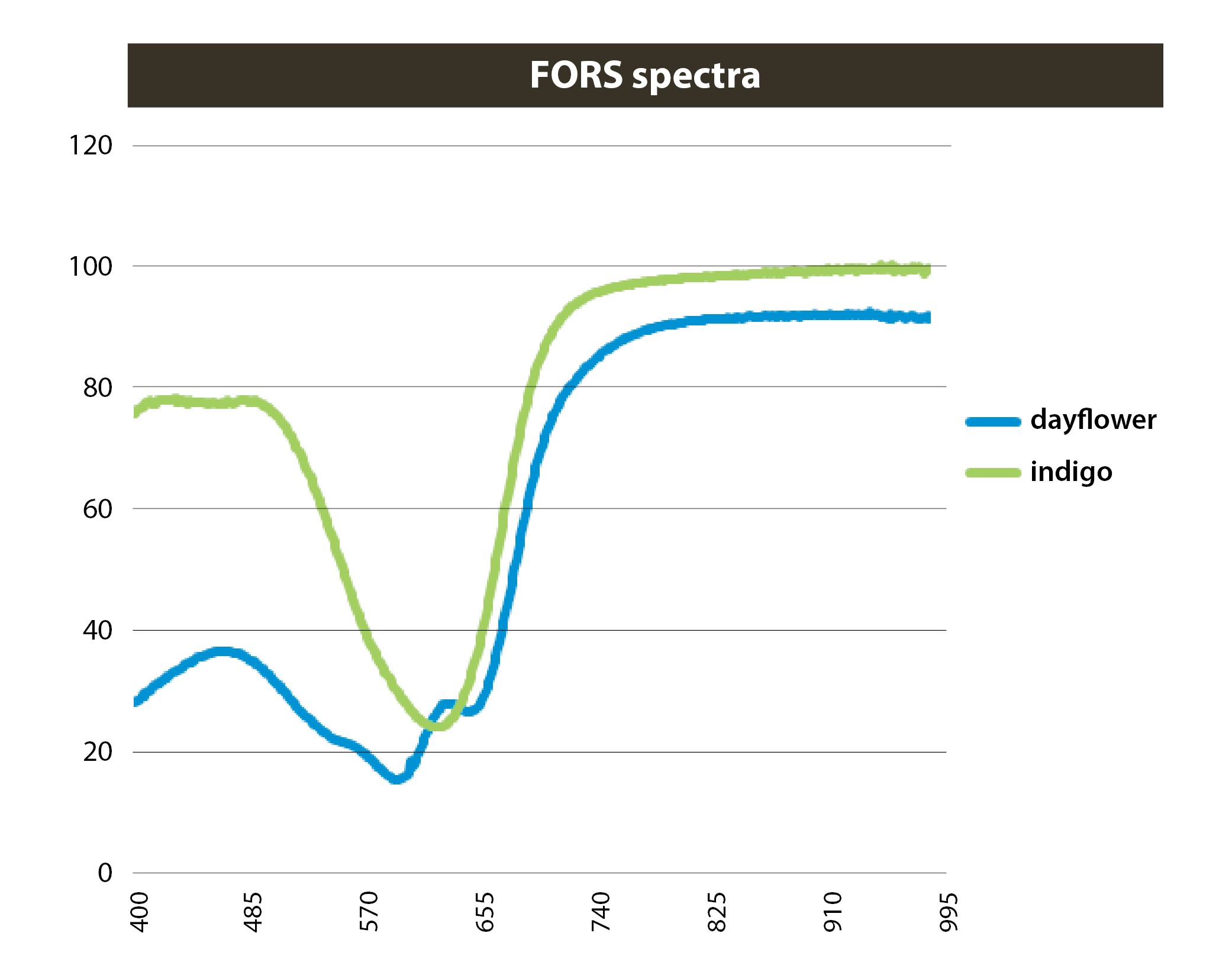 A line graph showing the Fiber Optic Reflectance (FORS) spectra for dayflower.