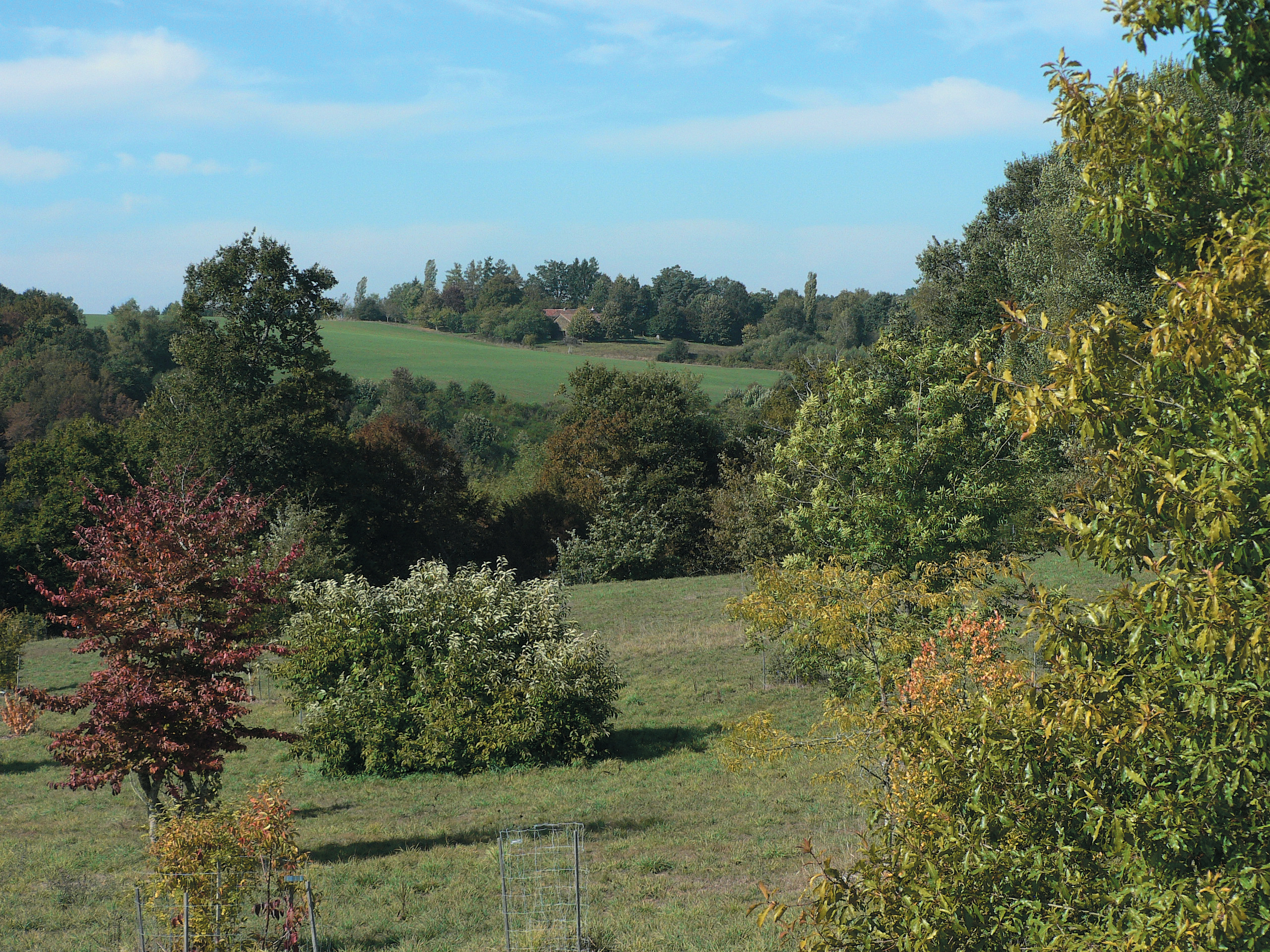 A color photo of the Arboretum des Pouyouleix.