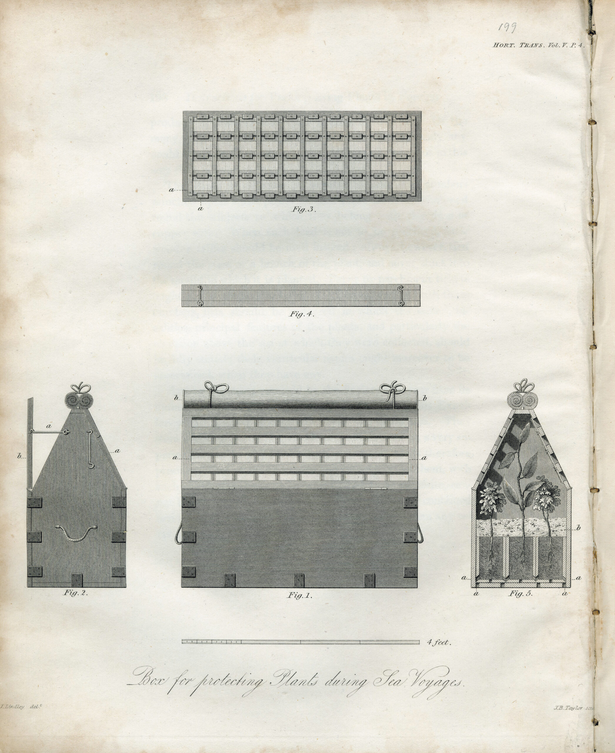 A sketch of a box similar to a Wardian case.