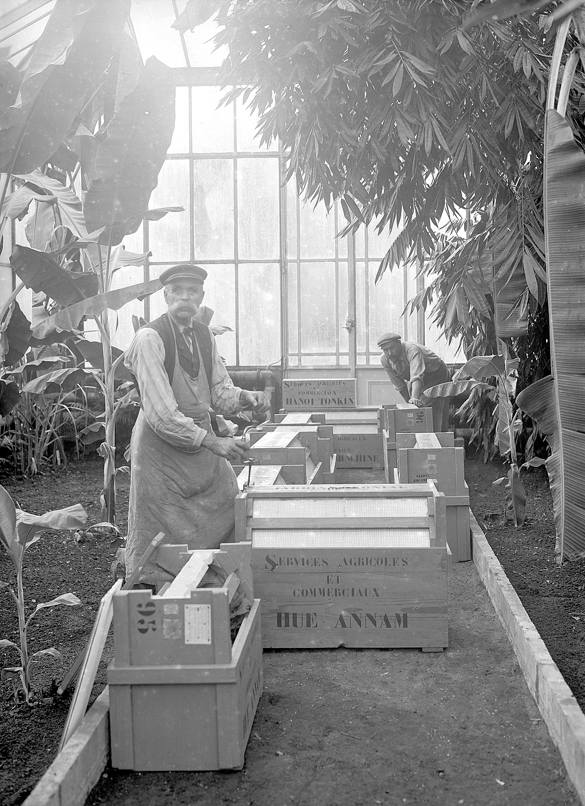 A black and white photo of workers at a agronomy garden in Paris.