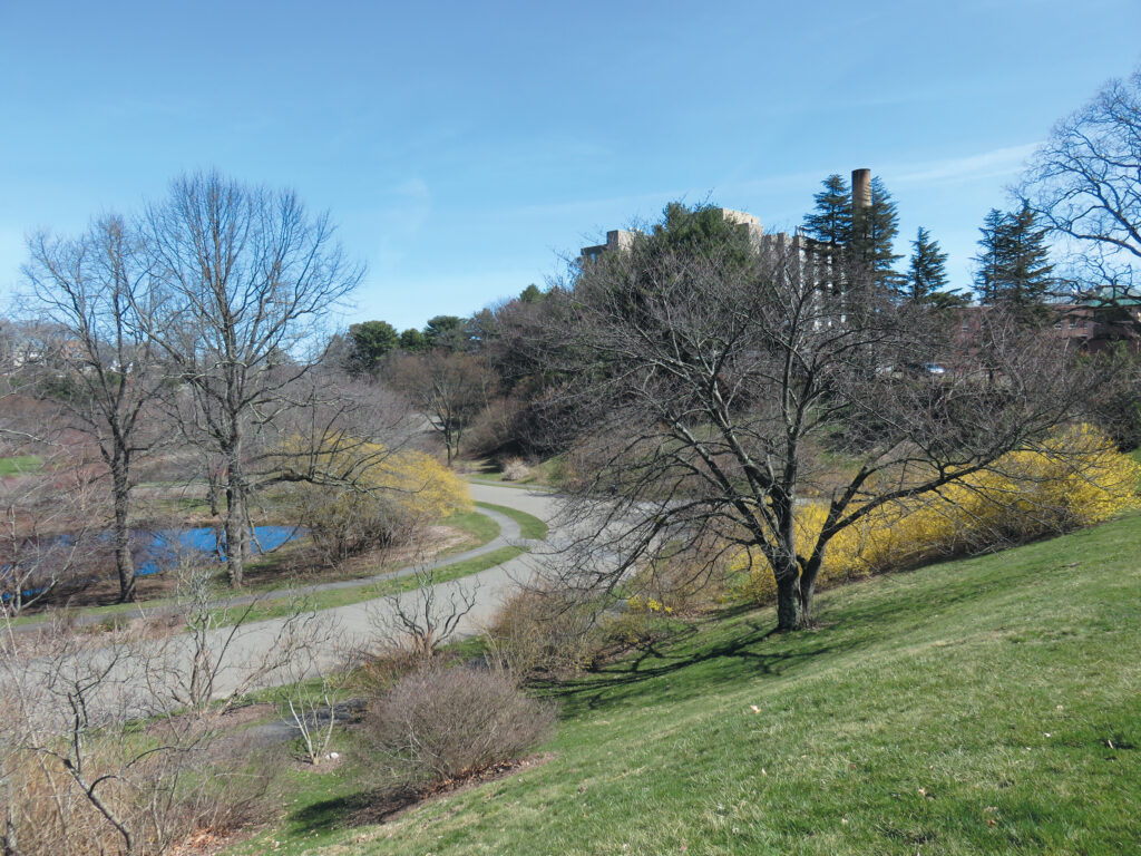 2016 Weather Summary Arnold Arboretum Arnold Arboretum