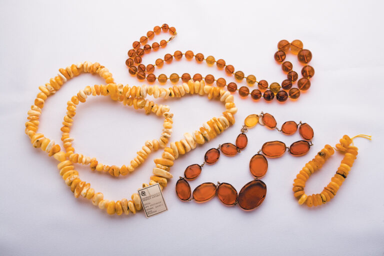 Plant Exudates and Amber: Their Origin and Uses - Arnold Arboretum