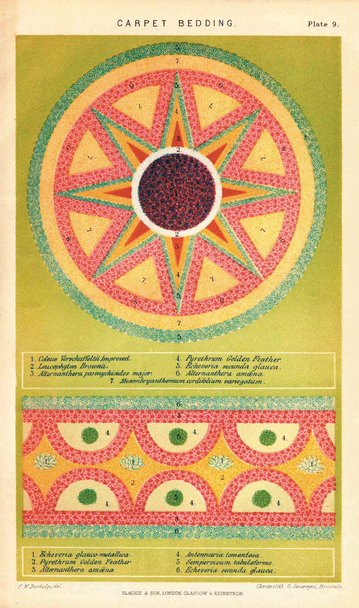 A color plate showing a flower bedding pattern.