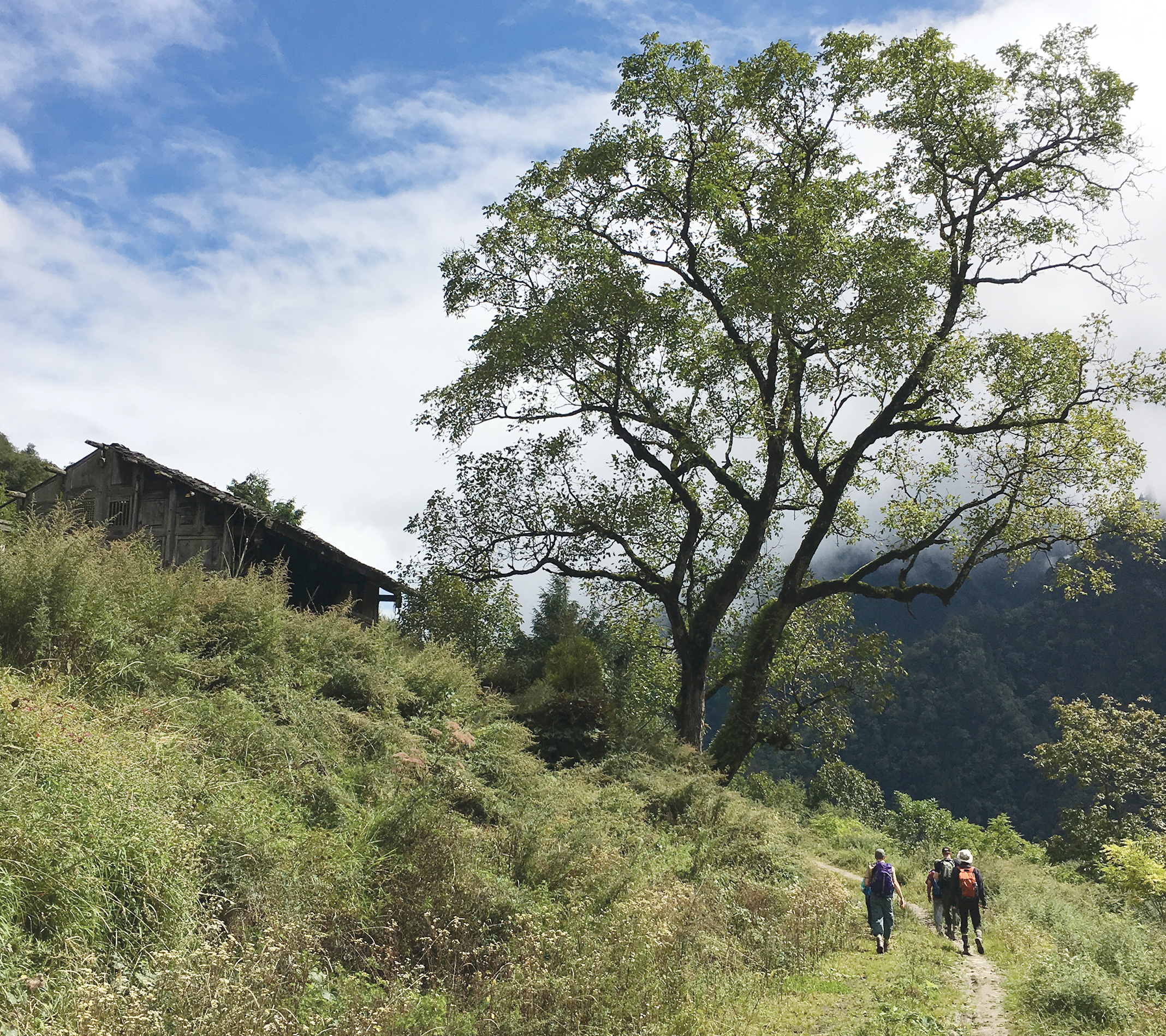 A color photo of several people walking on a path in a rural area.