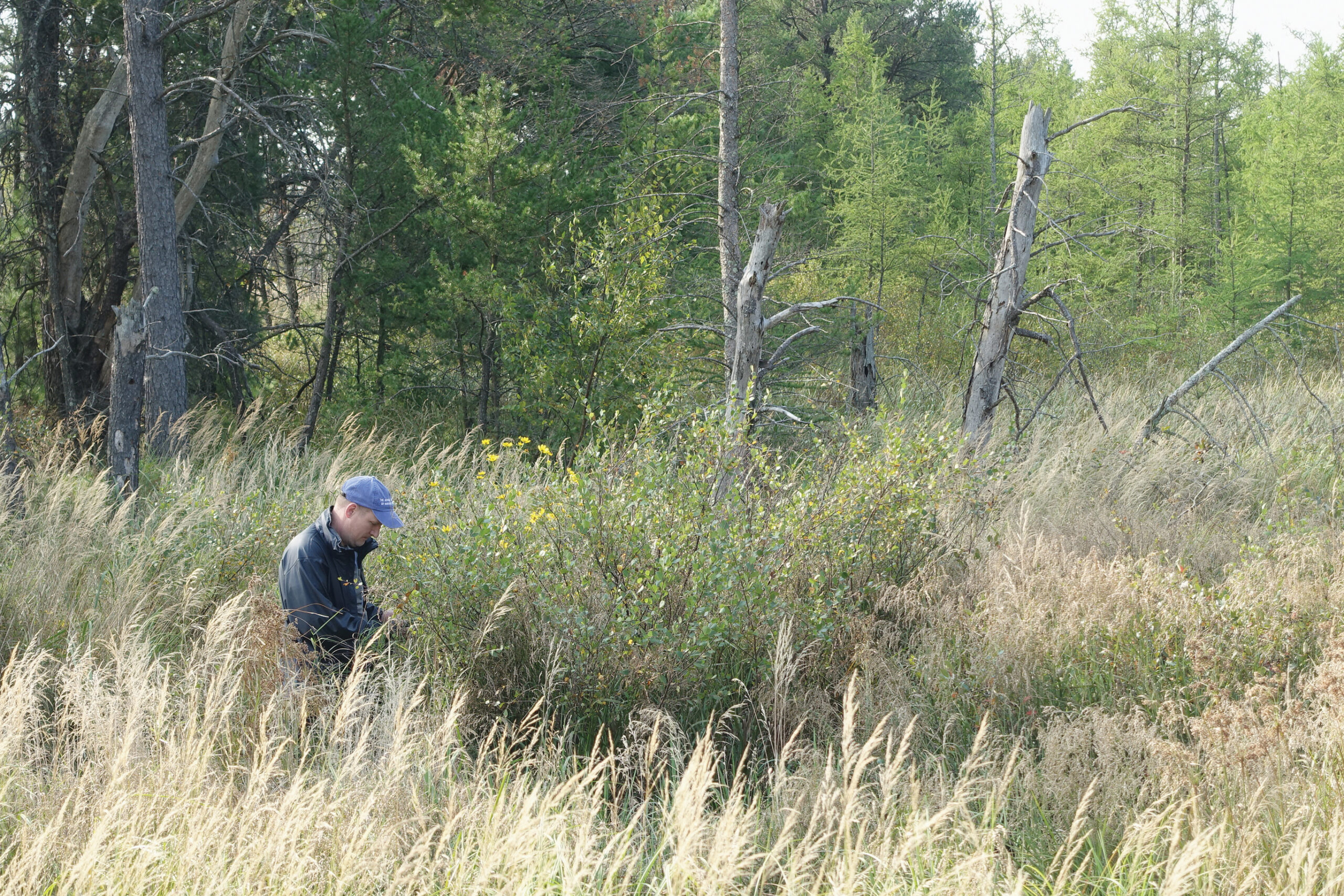 A color photo of a person standing in a field.