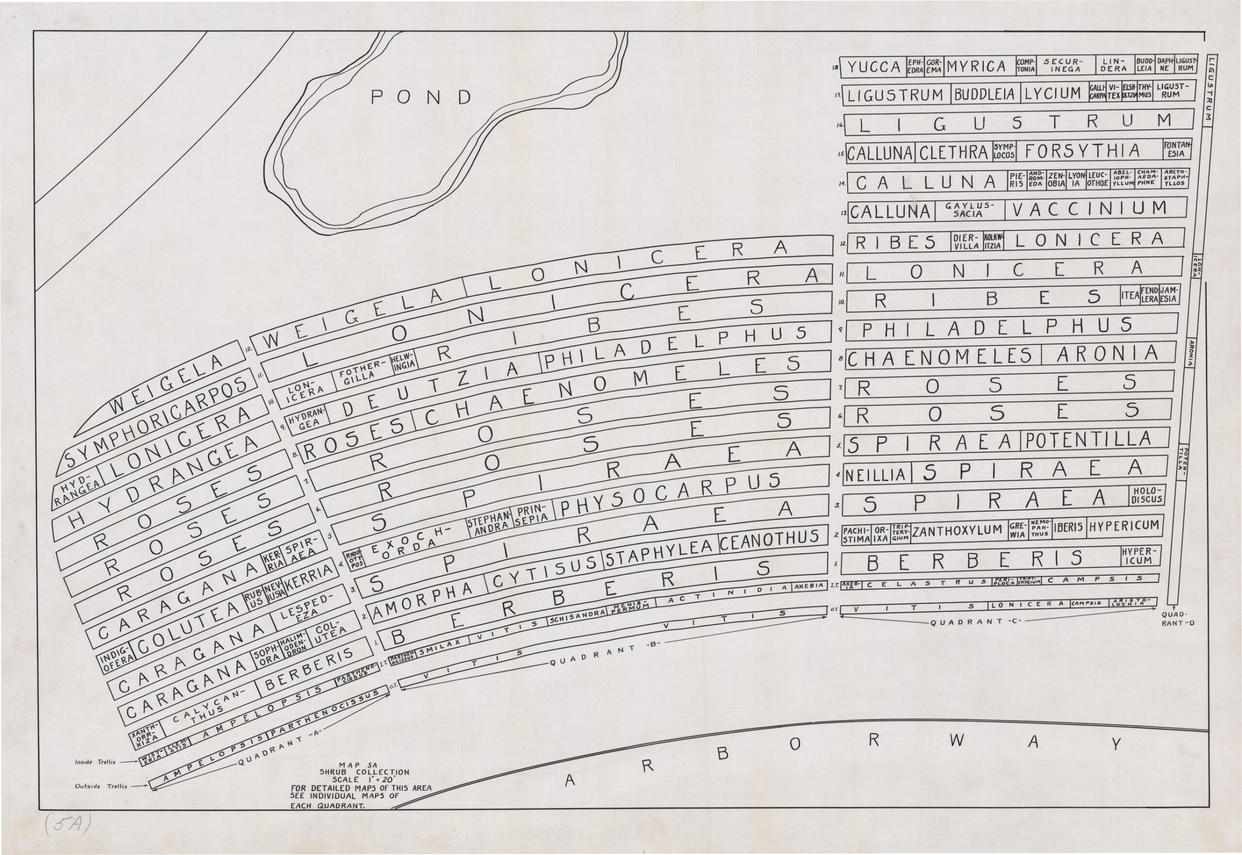 A black and white map of the BRC.