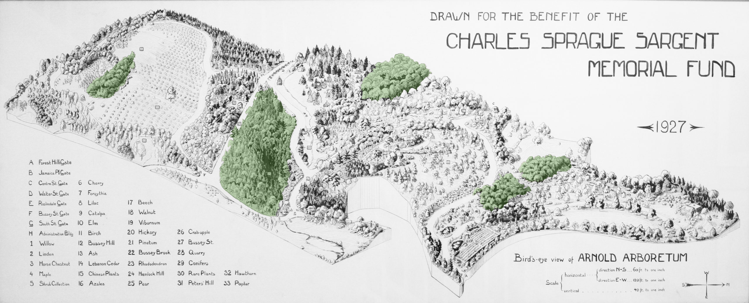 Birds-eye-map of Arnold Arboretum with woodlands highlighted