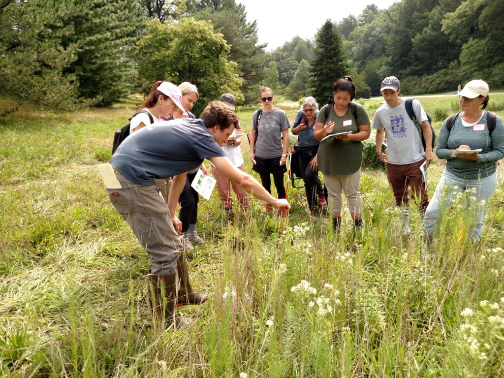 Teaching and learning in the field - Arnold Arboretum