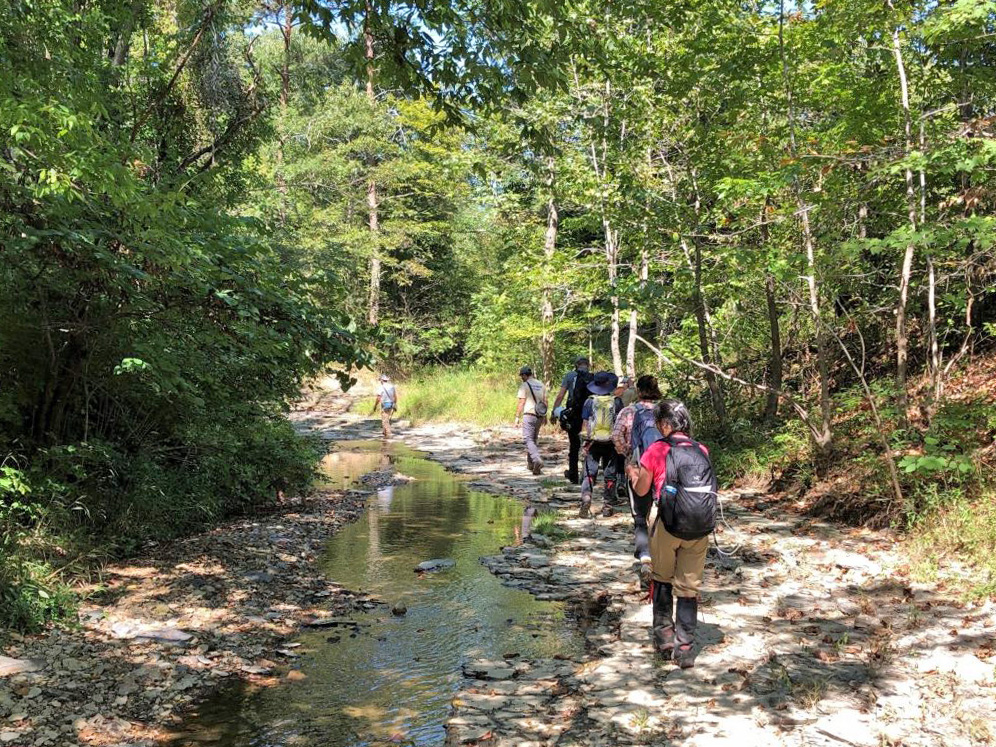 West Fork Silver Creek at the Berea College Forest