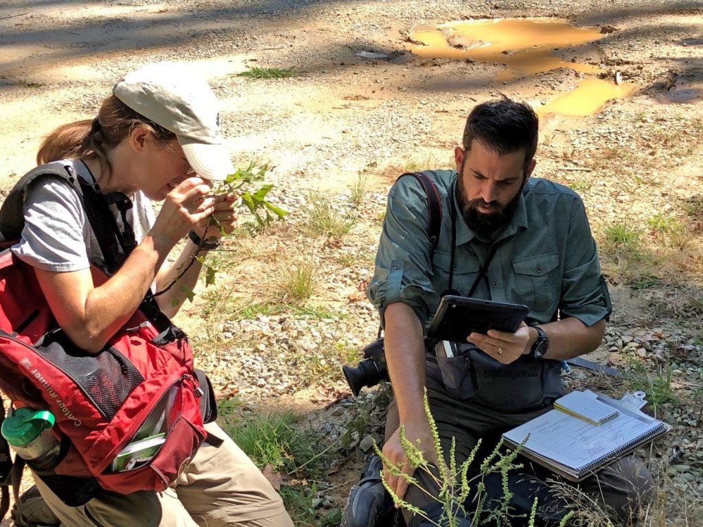 Angela Magnan and Sean Halloran study red oak