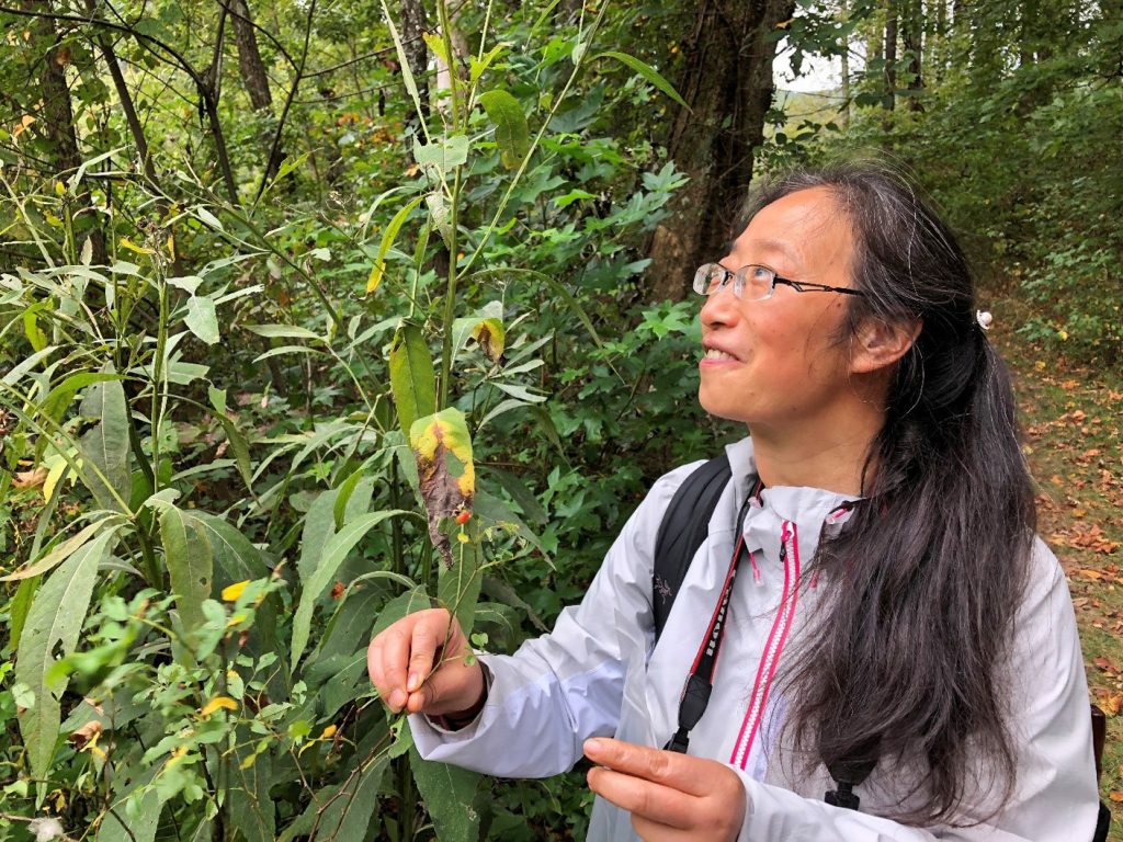 Xinfen Gao finds another rose