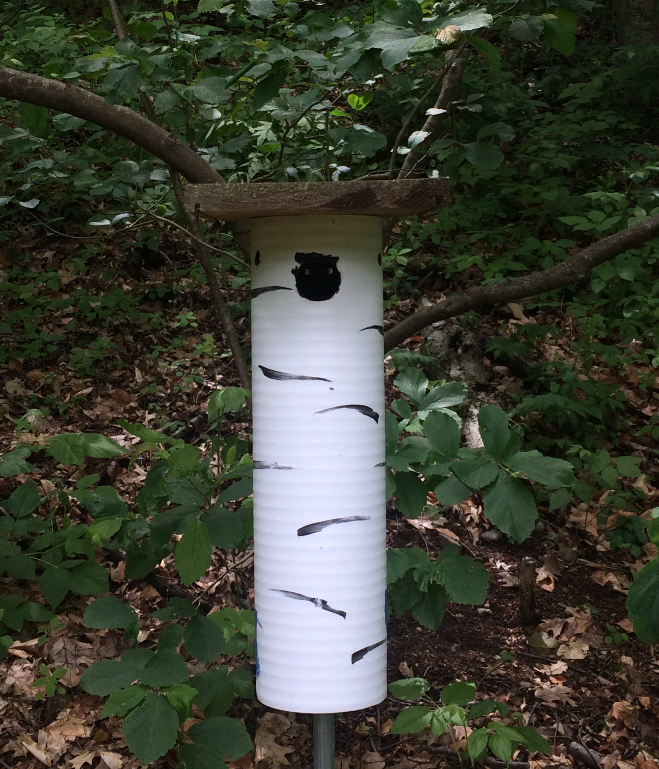 chickadee natural nest