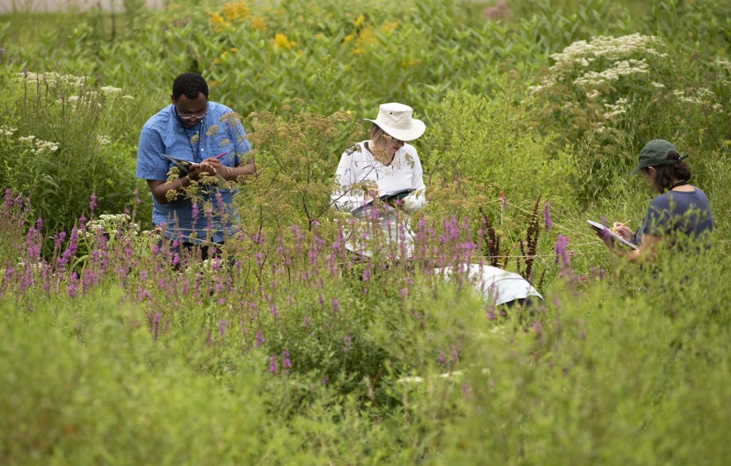 Gathering data on Kent Field