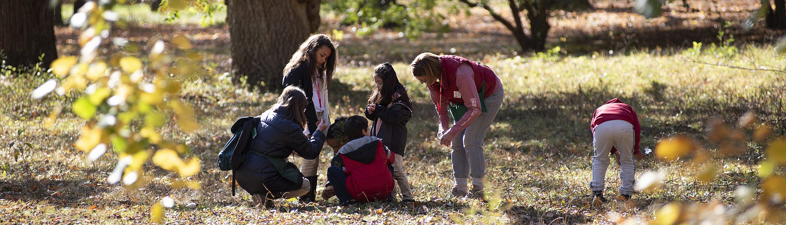 Several children with chaperones on a self-guided fieldtrip in the Arnold Arboretum.