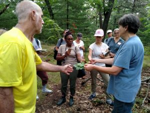 Irina Kadis discusses oak species