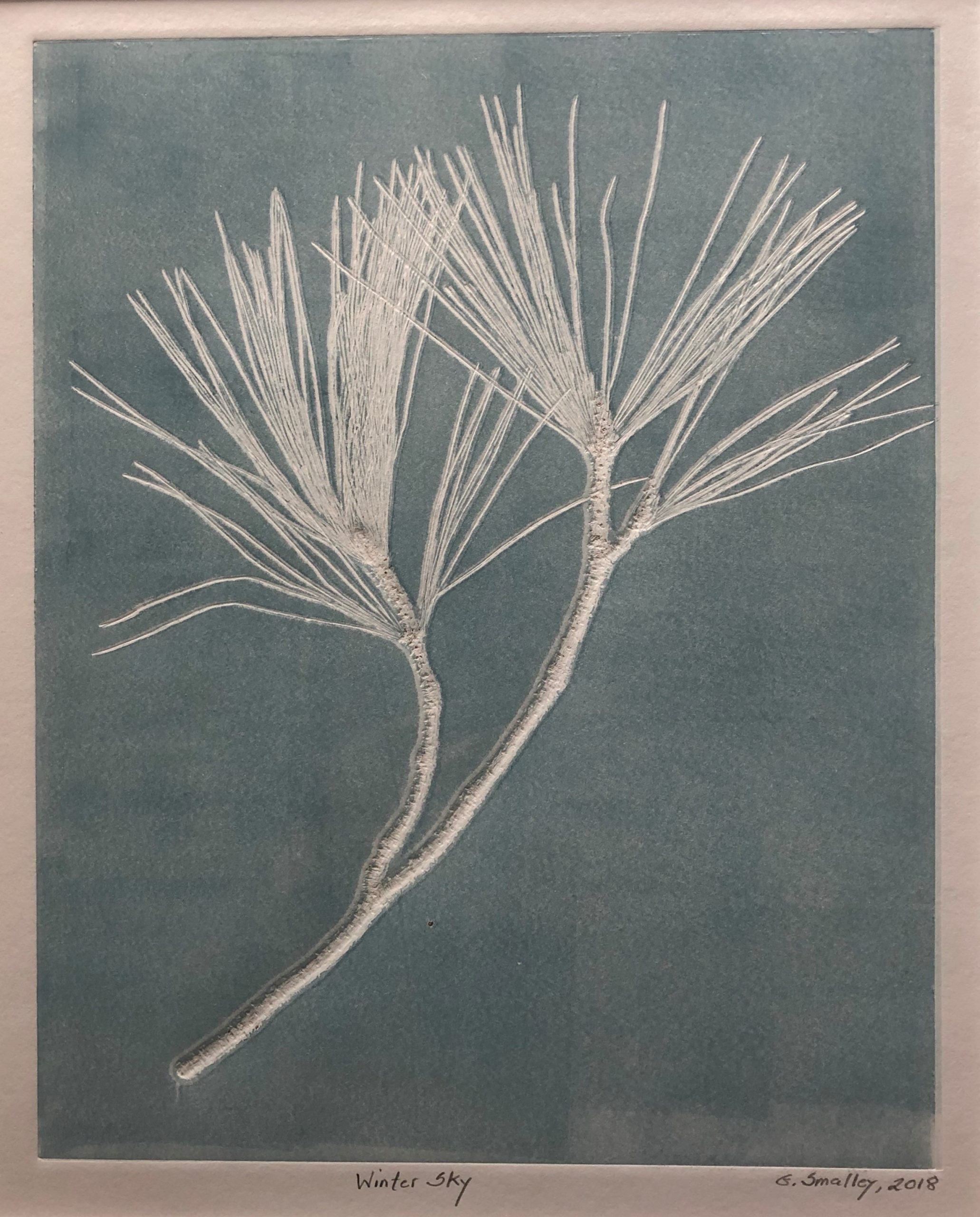 Print of pine branch with clumps of needles