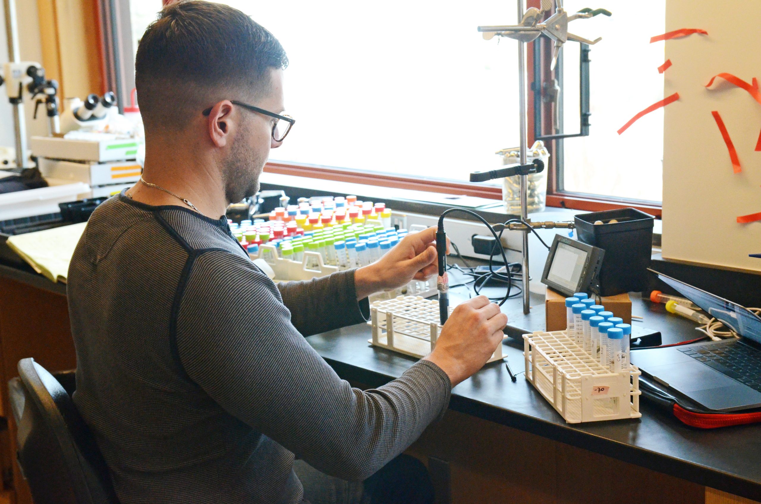 Jake Grossman, Arnold Arboretum Putnam Fellow, uses a conductivity probe to assess the damage caused by the freezing of a maple twig in the Arboretum’s Weld Hill lab.