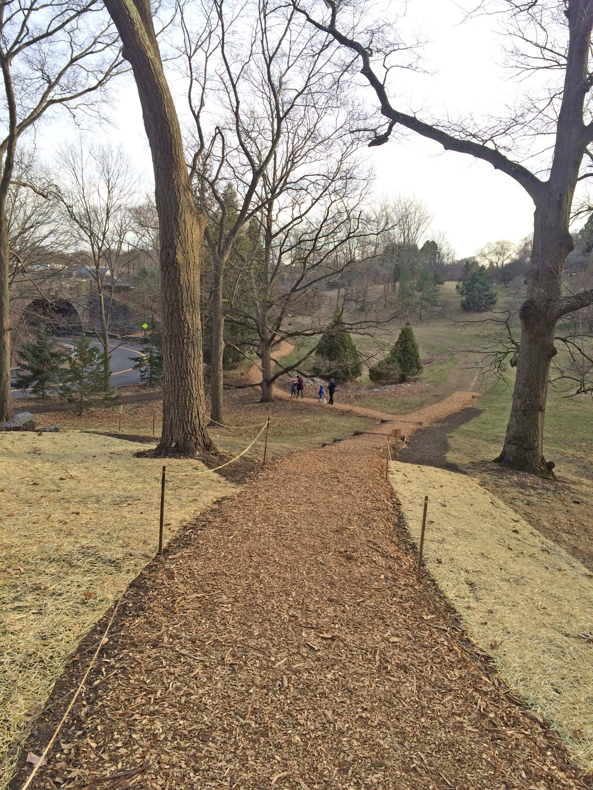 Mulch path near Poplar Street Gate