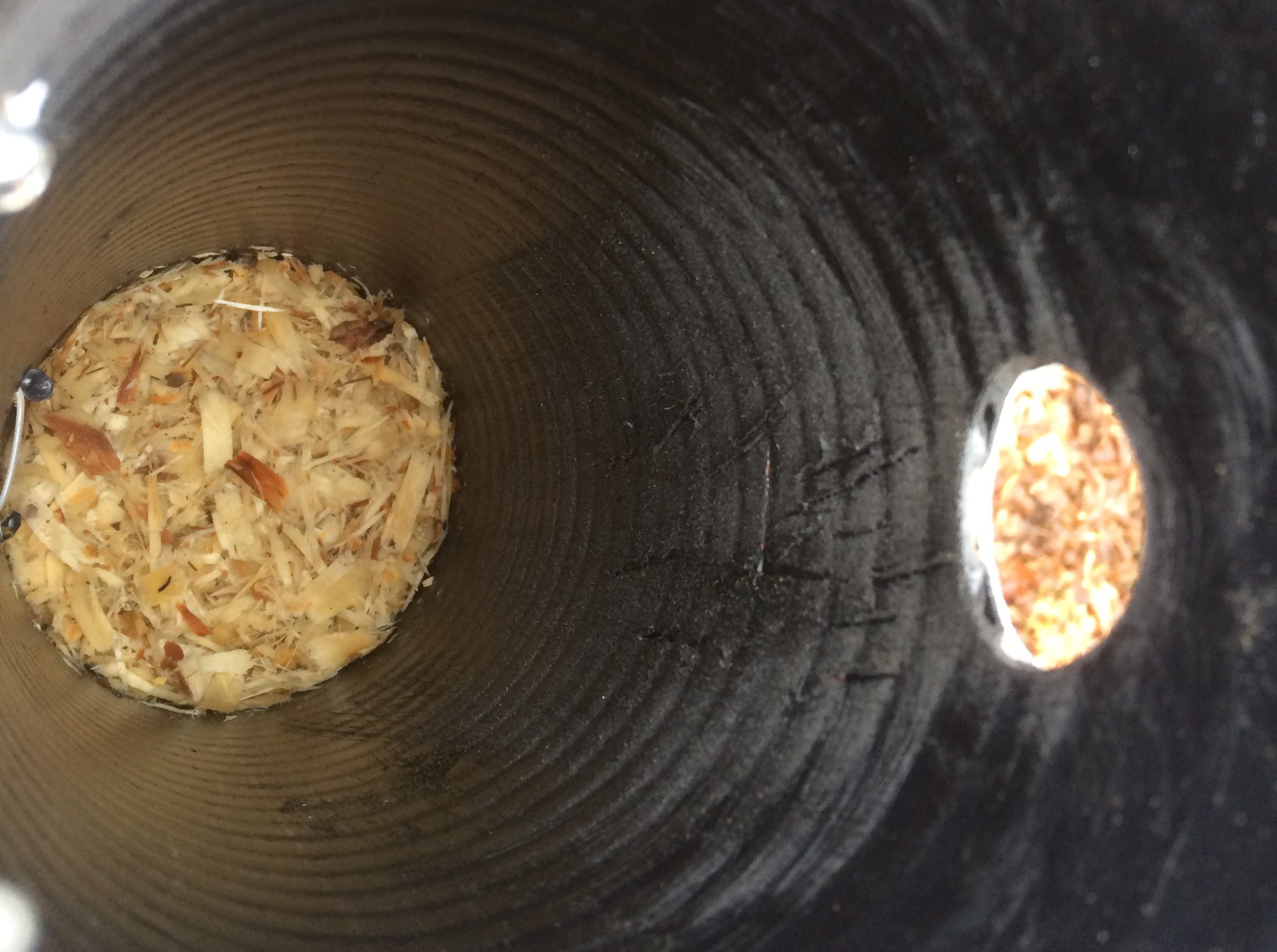 Inside of a bird nest tube.