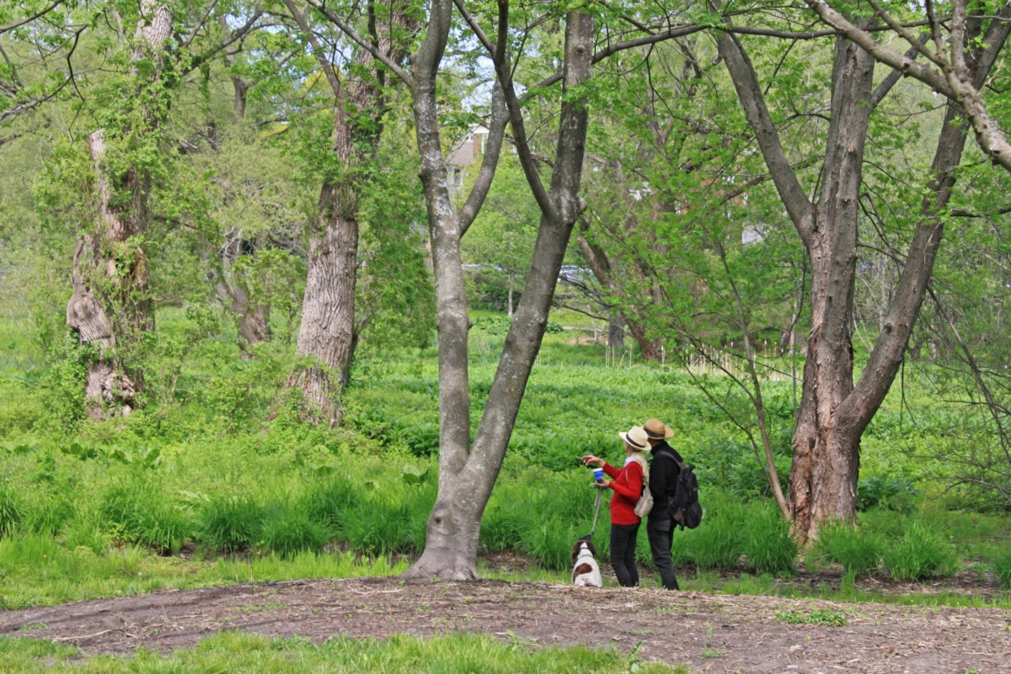 An expedition at the Arboretum