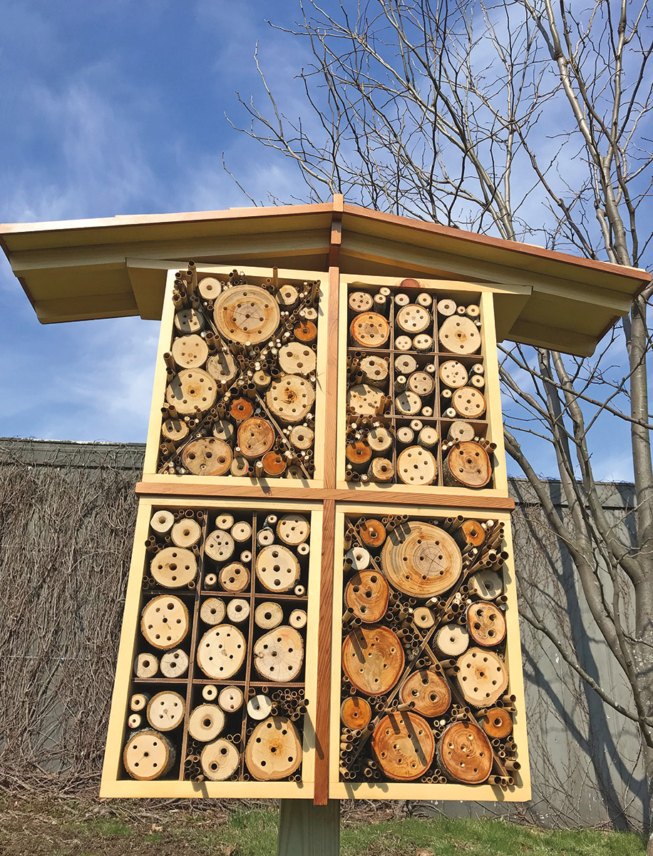 solitary bee habitat