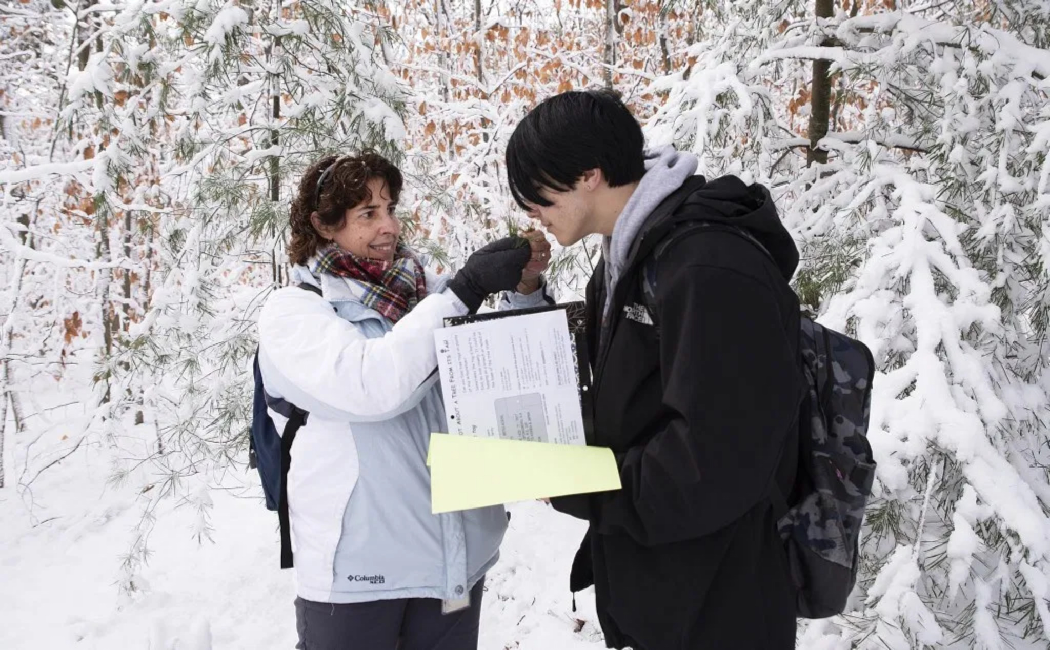 Ana Maria Caballero, Nature Education Specialist, holds needles from an eastern white pine in the Central Woods of the Arnold Arboretum for Boston Day and Evening Academy student Andres Lerner to smell during observational fieldwork for a special outdoor biology class in December. Image by Jeffrey Blackwell/Harvard University.