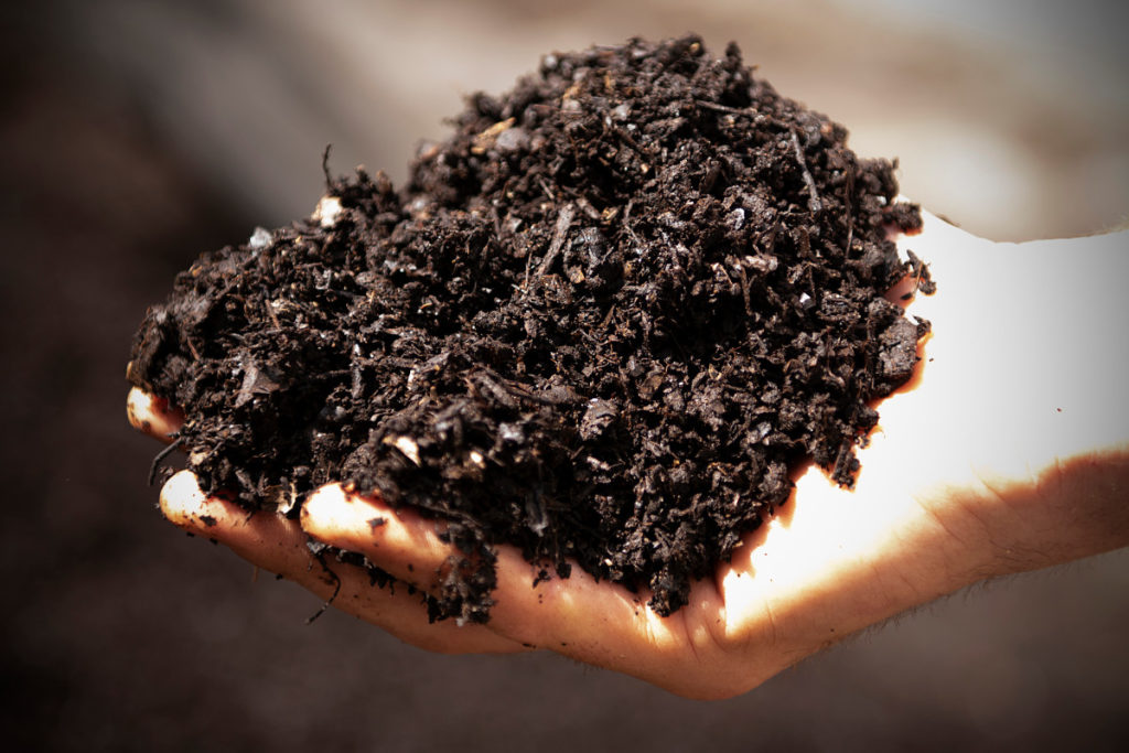 Hand holding Arboretum nutrient-rich compost made from local business waste.