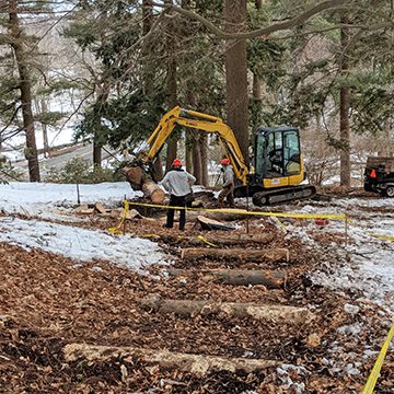 path work Bussey Hill
