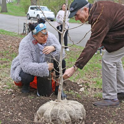 Diana Oh’s CLAIRVOYANCE: Tree Planting Installation at the Arboretum