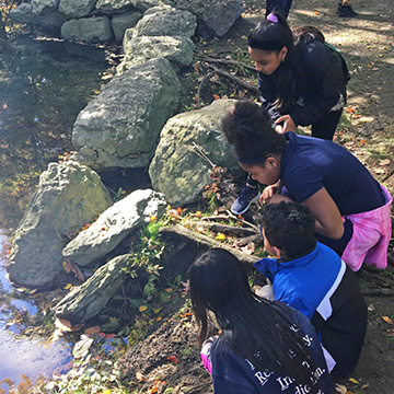 self-guided pond exploration