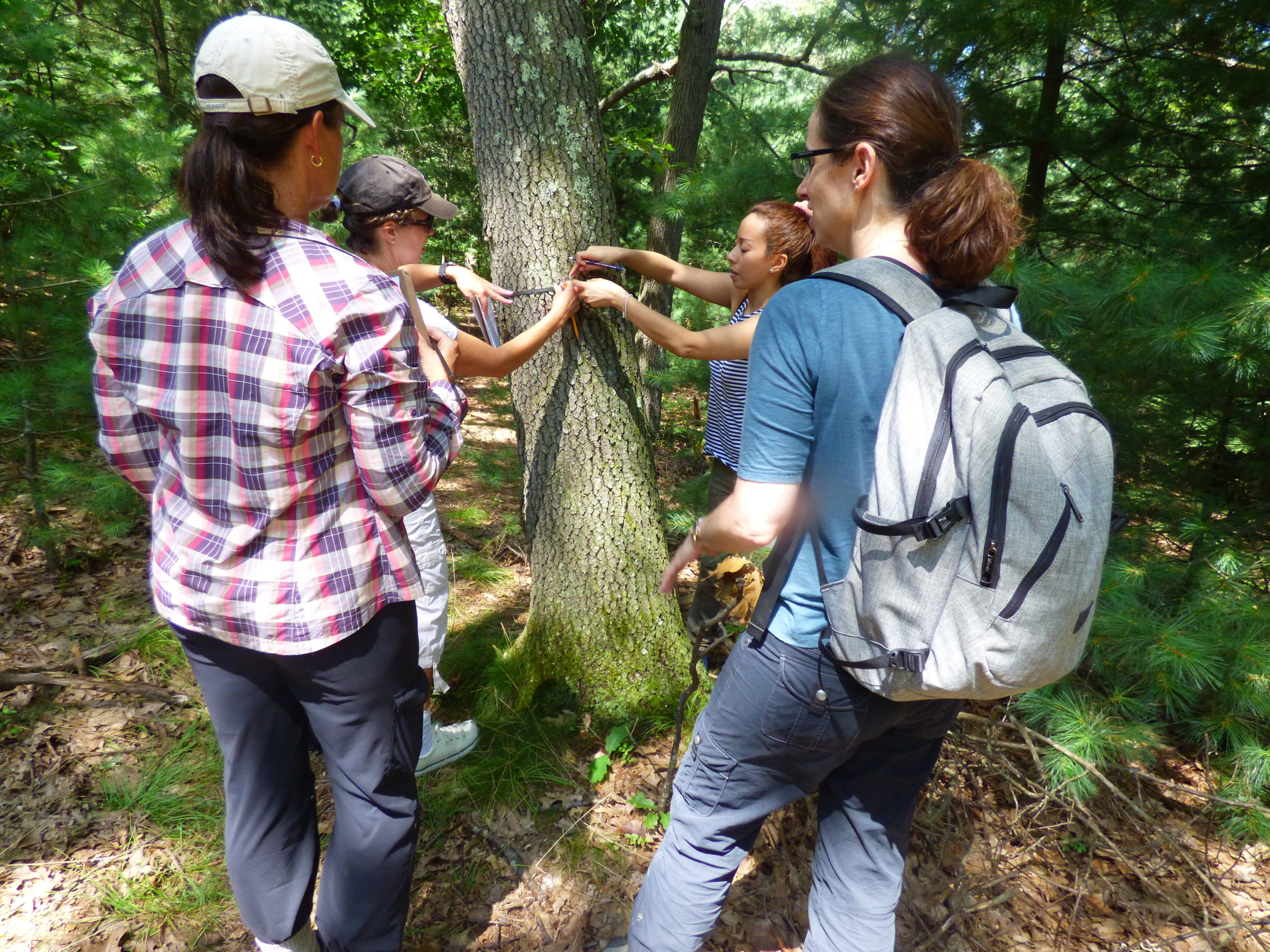 Bringing nature learning back outside