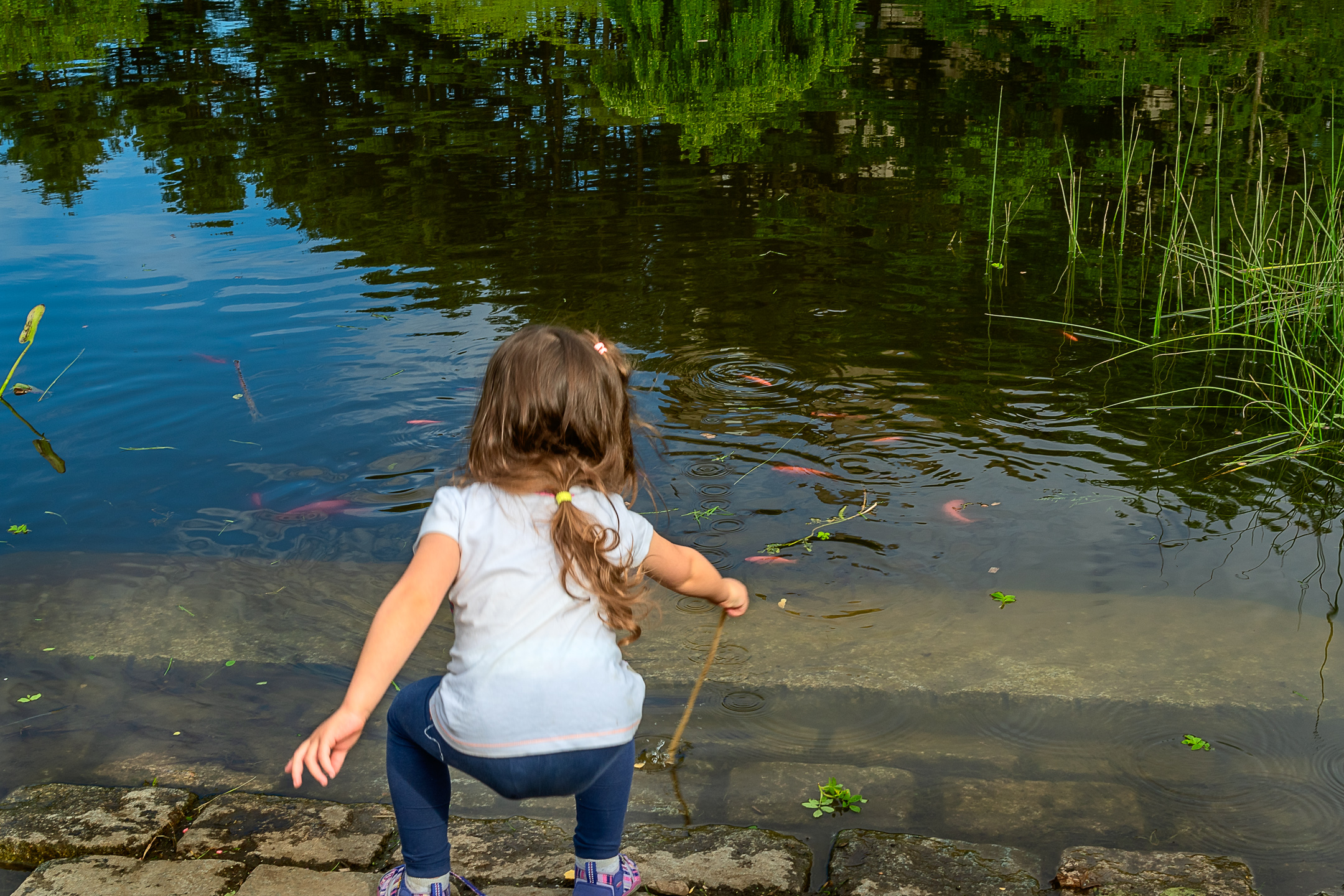 Little girl at pond edge