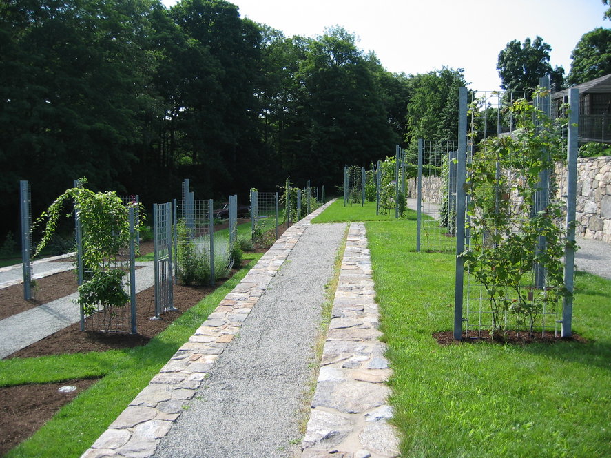 The terraced vine collection in the Leventritt Shrub and Vine Garden.