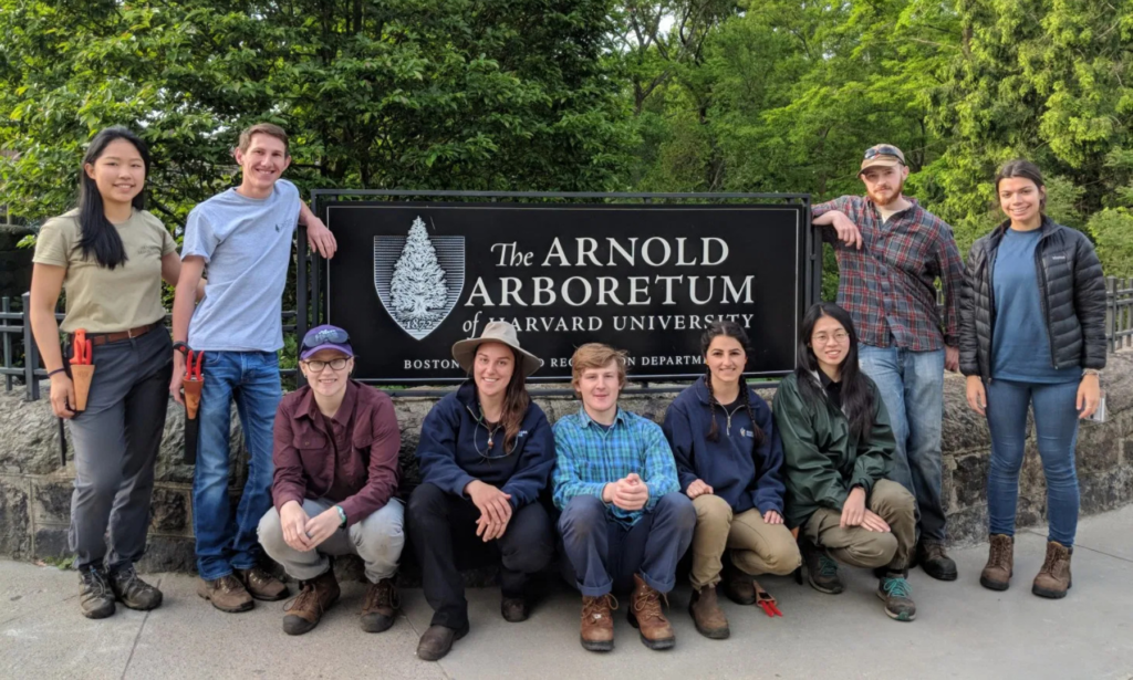 2019 Hunnewell Interns at the Arborway Gate entrance.